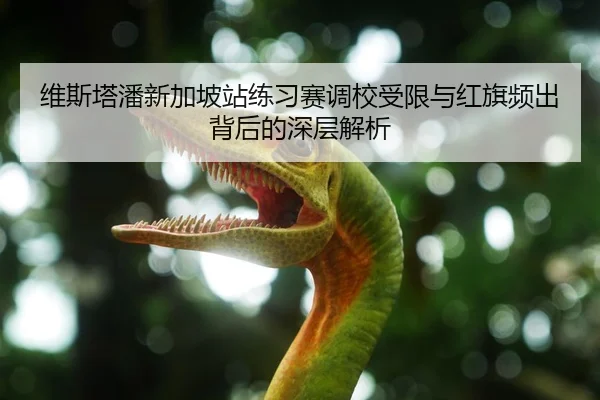 维斯塔潘新加坡站练习赛调校受限与红旗频出背后的深层解析